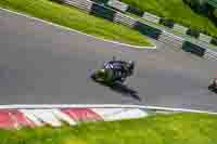 cadwell-no-limits-trackday;cadwell-park;cadwell-park-photographs;cadwell-trackday-photographs;enduro-digital-images;event-digital-images;eventdigitalimages;no-limits-trackdays;peter-wileman-photography;racing-digital-images;trackday-digital-images;trackday-photos
